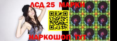 гашик Кулебаки